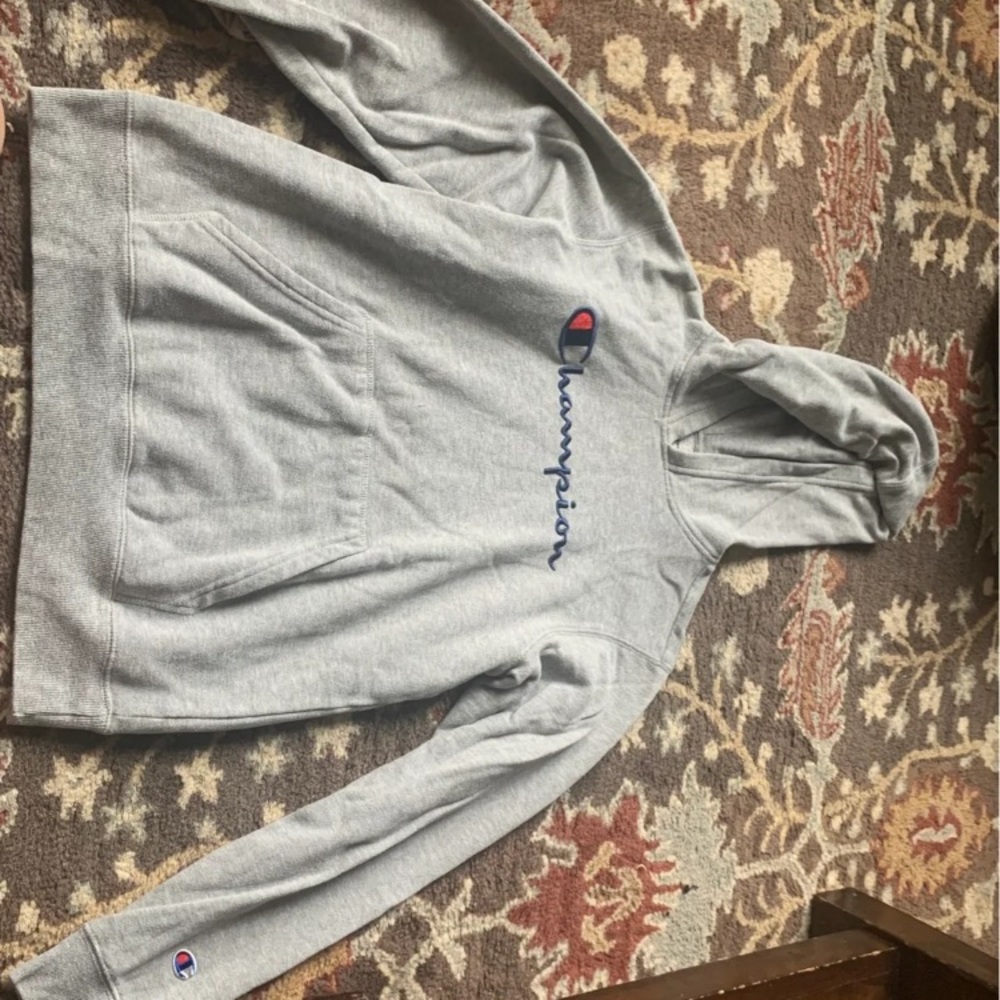 grey champion hoodie